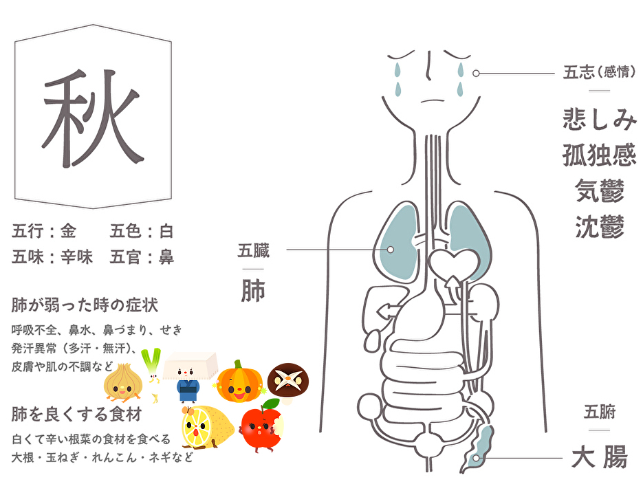 東洋医学に基づく秋の体調管理の画像