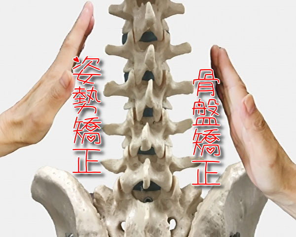 骨盤矯正、姿勢矯正