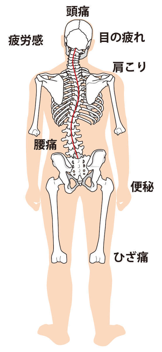 姿勢