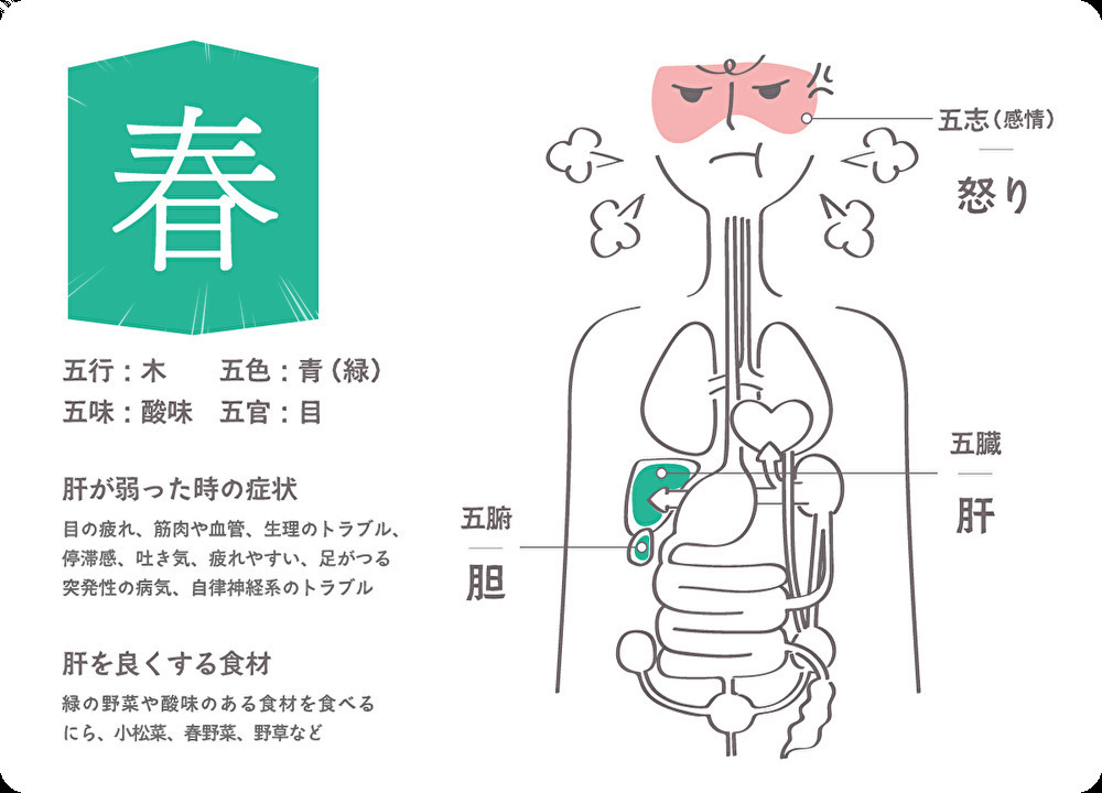東洋医学に基づく秋の体調管理をまとめた画像